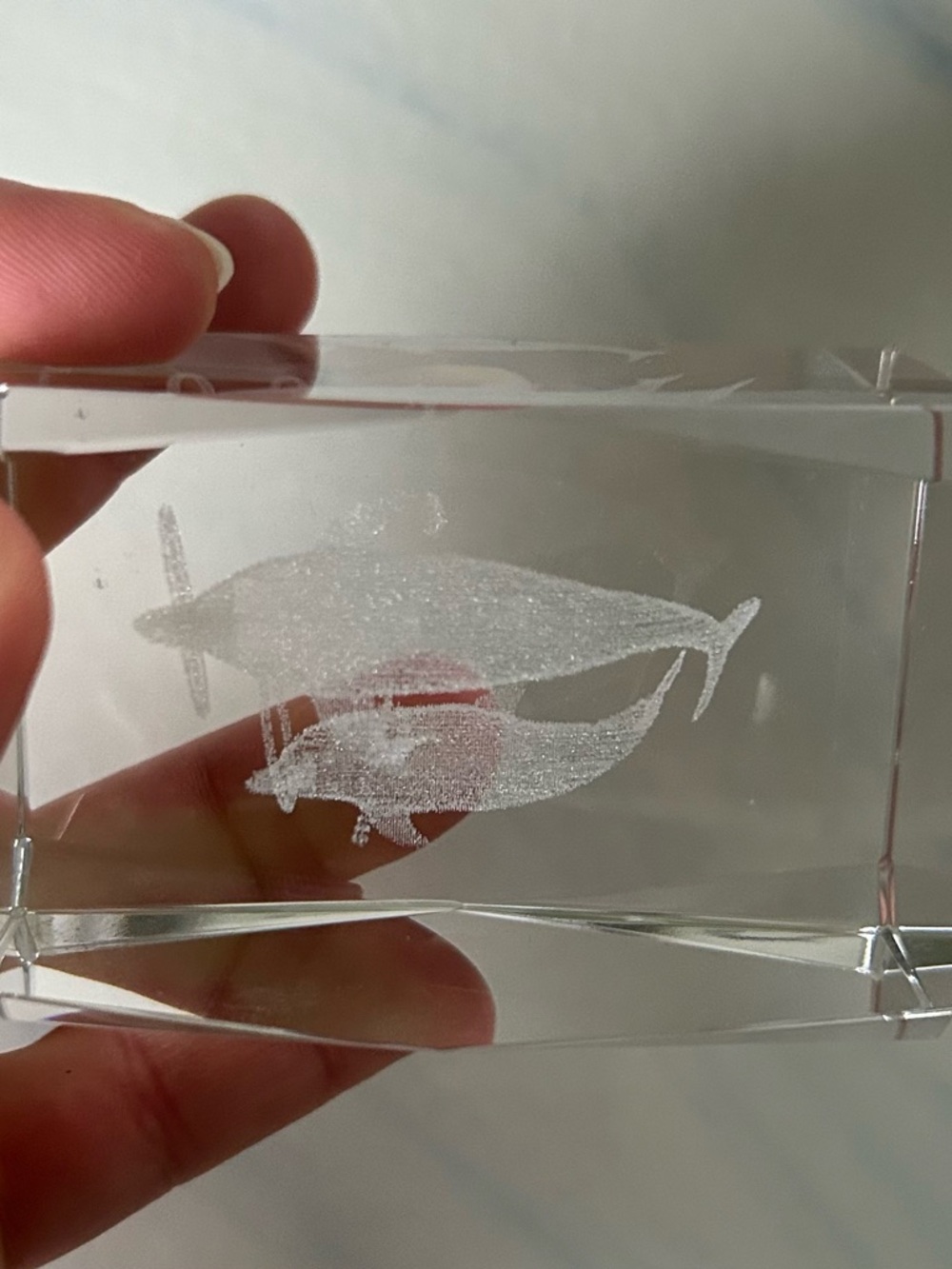 Clear Glass Aquarium Ornament with Etched Fish Design - White